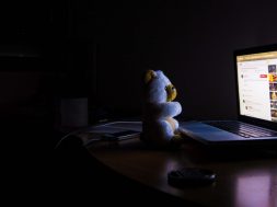 bear-and-computer-at-night.jpg