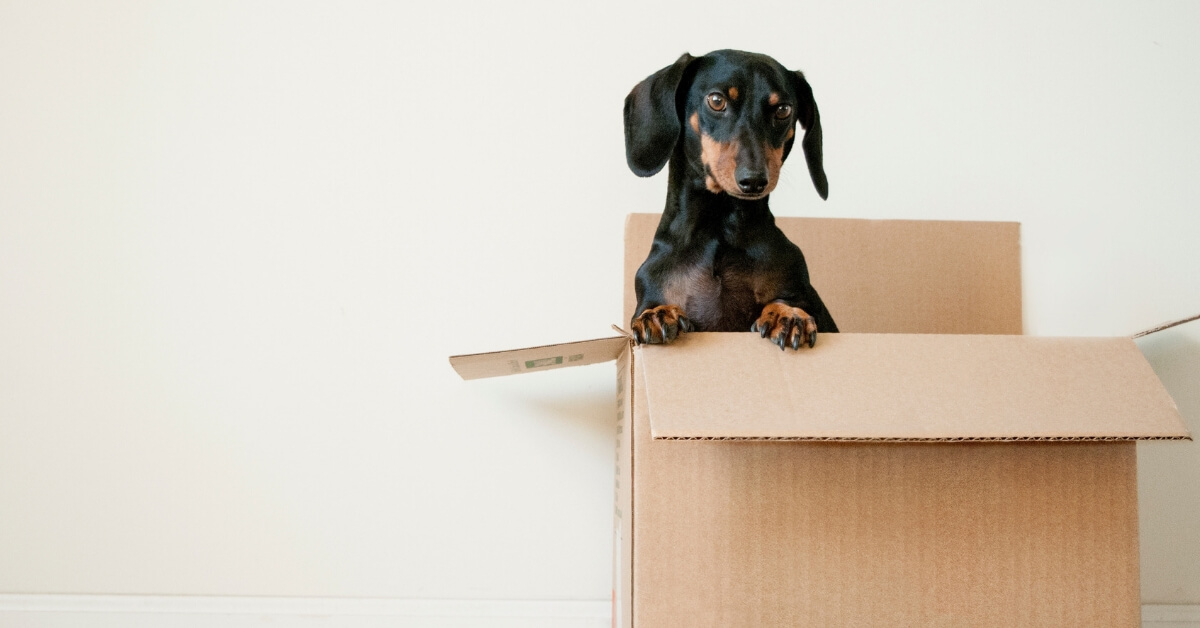 Moving? How to Help Your Child Settle into a New School