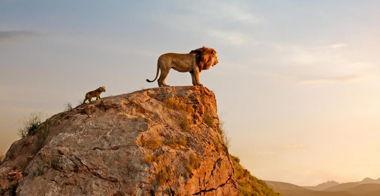 A Scene from The Lion King 2019