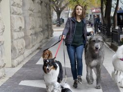 Walking-dogs-Universal-Pictures-1-1.jpg