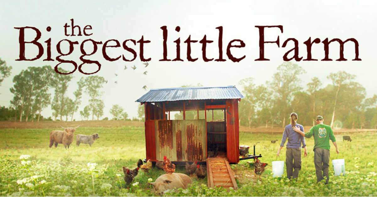 The Struggle (to Live Sustainably) is Real, in ‘The Biggest Little Farm’