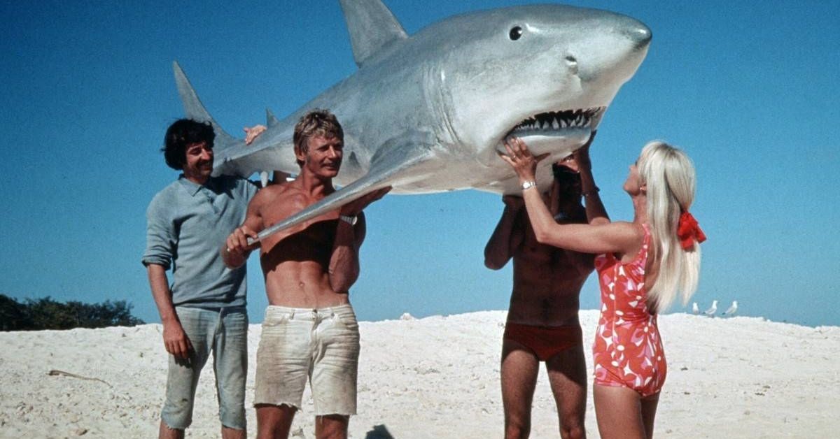 “Sharks Are Like Dogs”: Valerie Taylor Has Had to Undo Her ‘Jaws’ Influence
