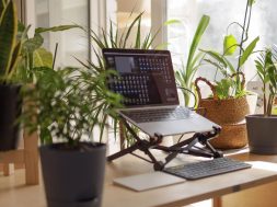 Laptop-and-potplants-on-a-desk-at-home-.jpg