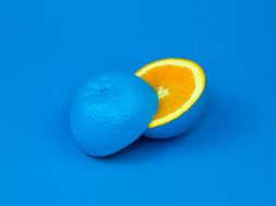 Sliced-Orange-painted-blue.jpg