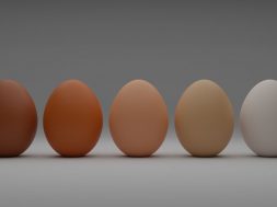 A-row-of-chickens-eggs-by-Shubham-Dhage.jpg