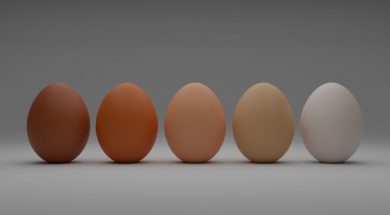 A-row-of-chickens-eggs-by-Shubham-Dhage.jpg